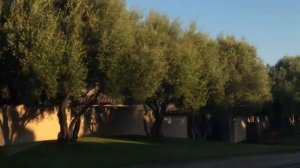 США Ранчо САНТА ФЕ Богатейший район 2 часть / Наш Сан Диего