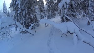 Бродяги Севера. Глухозимье. Часть 2. Немного о кидусе