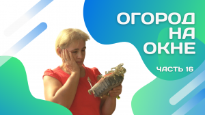 Все пропало! "Огород" закрывается!