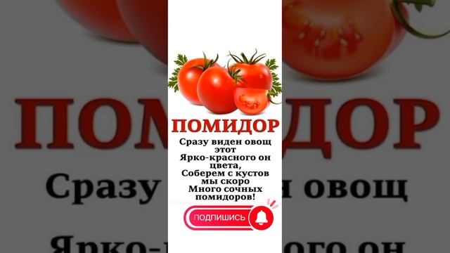 Стих про помидор