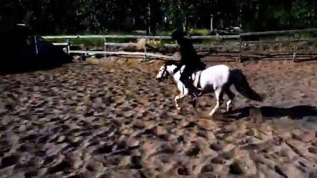 Идальго. смотреть онлайн