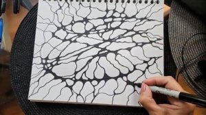 Нейрографика. Алгоритм АСО. Запись вебинара 05.10.2022