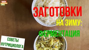 Готовимся к зиме: все о ферментации продуктов