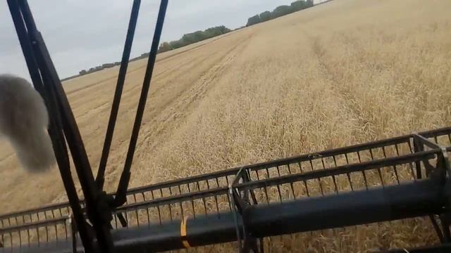 АКРОС-585,и очередной день уборки смотреть онлайн