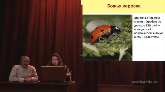 Полезные насекомые смотреть онлайн