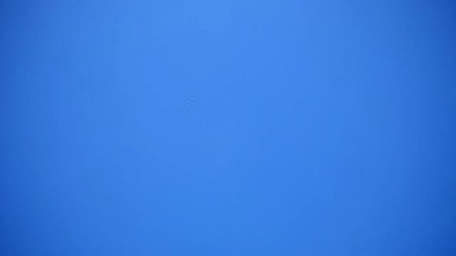 Первый весенний гон15 смотреть онлайн