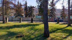 Elops 500 Single Speed - Review & Unboxing | Pros & Cons