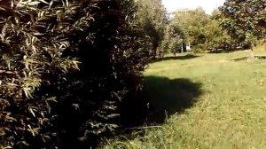 ПОЧЕМУ ИЗБА, А НЕ ПАЛАТА ВЕДЬМИНА ИЗБА ▶️ ИНГА ХОСРОЕВА.