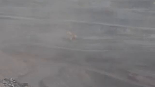 Цены на уголь смотреть онлайн