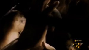 Donnie Yen VS. Michael Jai White! - Wing Chun & Kyokushin Karate BLOOD AND BONE vs IP MAN 💥