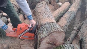 Husqvarna 365 x torq