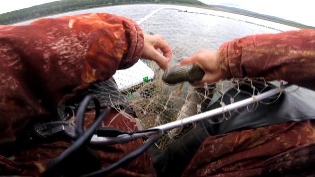 КАРАИДЕЛЬ/ Рыбалка на кружки/Зубастые ЩУКИ!!! смотреть онлайн