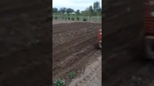 Хтз т-010 КМЗ окучивание картошки с УД 25
