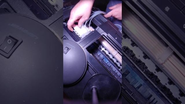 L1800 DTF Nightly Maintenance смотреть онлайн