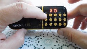 Радиоприёмник BKK B851 Обзор