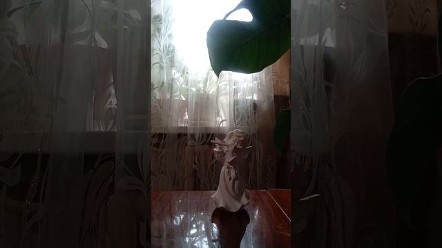 Таро.Что происходит в жизни мужчины. смотреть онлайн