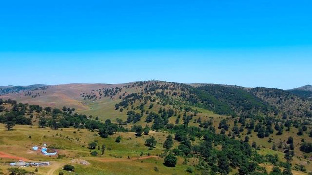 ДВЕНАДЦАТЬ СТУПЕНЕЙ. 26.12.2022. смотреть онлайн