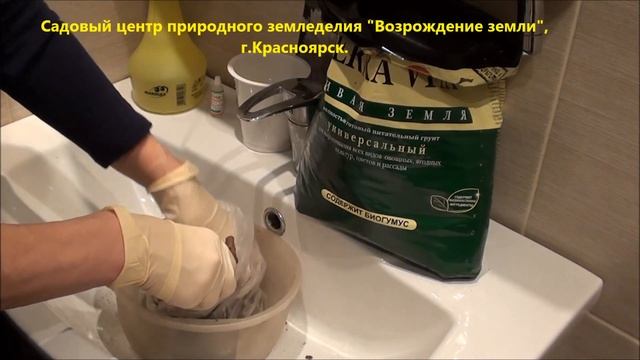 Как сохранить корень пиона до посадки на постоянное место? смотреть онлайн
