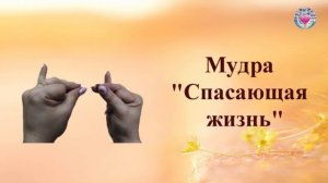 Мудры  Йога пальцев