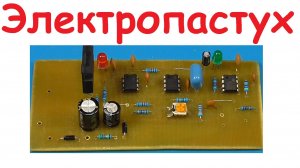 Электропастух!