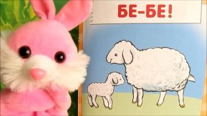 Развивающее видео для детей от года до двух. Как говорят животные