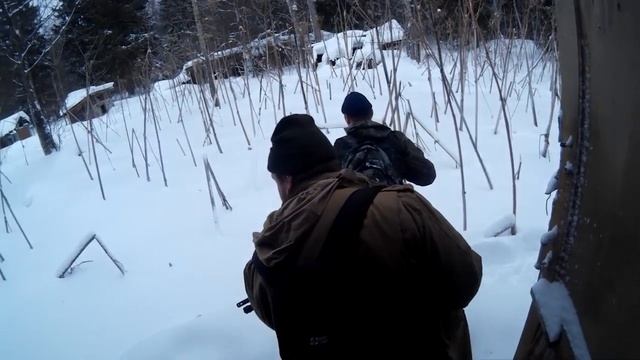 Гребеньки