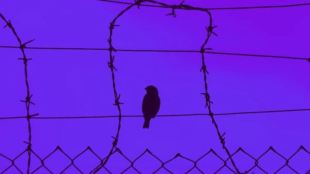 plenka - Nightmare (slowed + reverb) смотреть онлайн