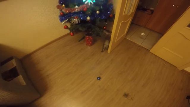 Мейн Кун Шэри против новогодней ёлки смотреть онлайн