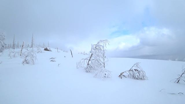 07 03 22 Лыжная прогулка на Южном Урале. Телемарк.Бэккантри. смотреть онлайн