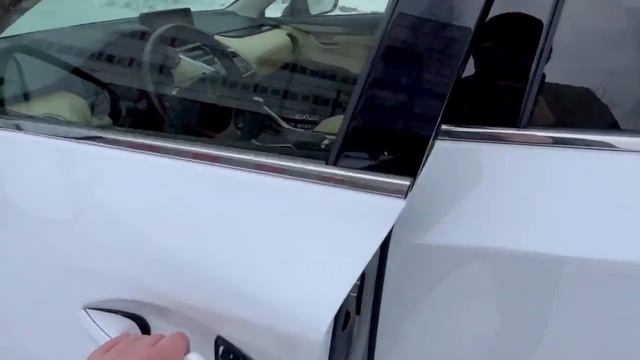 Обзор кроссовера Lexus NX300, 2019 года из США с небольшим пробегом