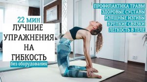 Тренировка для развития гибкости | Лучшие упражнения | 22 мин