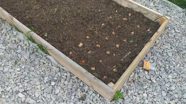 Купила участок, и стала рабом😱. Любимая дача ❤️. Купили заброшенный участок 👍 смотреть онлайн