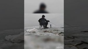 Ловля корюшки (зубаря) Камчатский край, озеро Нерпичье  2022 г.