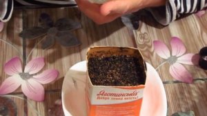 ПРОРОСШИЕ СЕМЕНА ПЕРЦЕВ пересаживаем в стаканчики с землёй