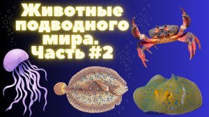 Животные подводного мира часть 2
