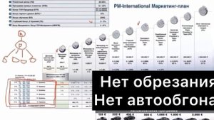Маркетинг план компании PM-INTERNATIONAL ( на русском)