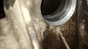 Фольксваген Поло съела блок антифризом