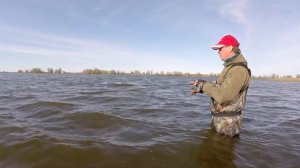 Твичинг на мелководье. Ловля окуня на воблеры. Рыбалка в Астрахани.