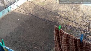 Продам 1-комн. кв., поселок Дружба | 01.imls.ru