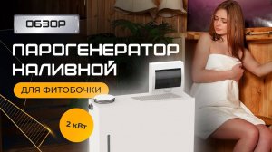 Парогенератор наливной для фитобочки, душевой кабины и мини хаммама 2 кВт с аромоемкостью