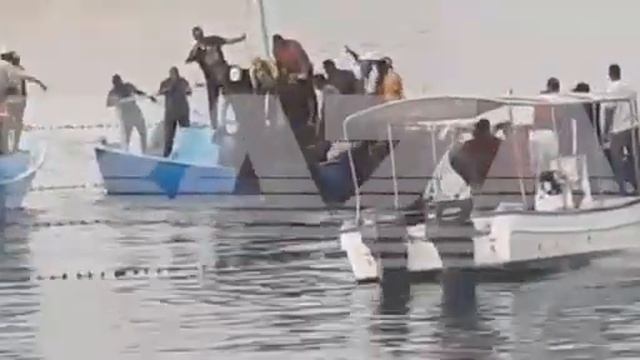 В Египте поймали акулу, которая набросилась на туриста смотреть онлайн