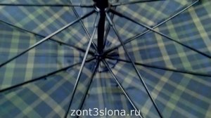 Мужской зонт-трость 1771