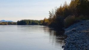 Северная река Чукотка #видео #река #чукотка #север #билибино #крайземли #красотыприроды #малый Анюй