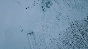 Вишневая гора #горнолыжка. Саратов.🎄