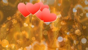 Гранатовая свадьба 19 лет со дня свадьбы