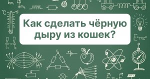 Как сделать чёрную дыру из кошек?