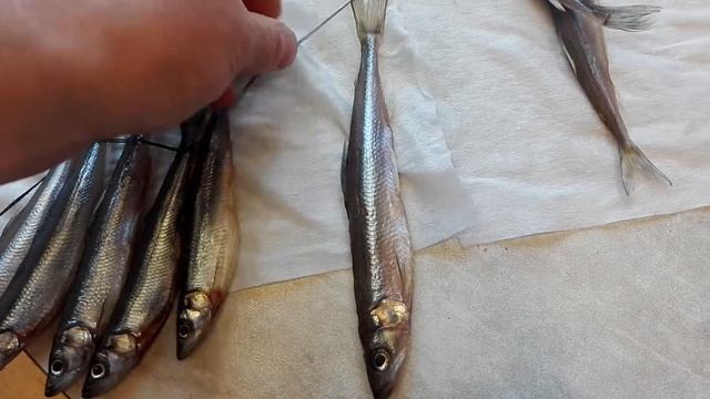 Вялим корюшку и вакуумируем смотреть онлайн