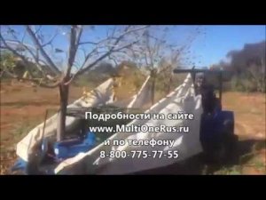 Плодосборщик на минипогрузчике MultiOne