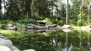 Живая природа