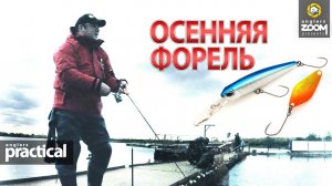 Две приманки для осенней ФОРЕЛИ. Александр Рыжов. Anglers Practical